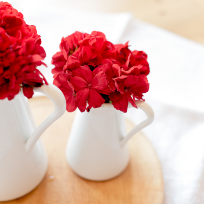 © Photo Melanie // www.photo-melanie.at © Photo Melanie // www.photo-melanie.at