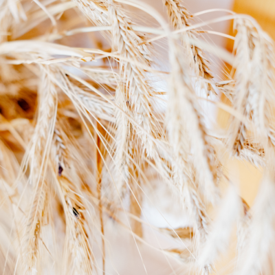 © Photo Melanie // www.photo-melanie.at