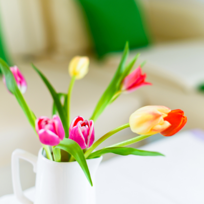 © Photo Melanie // www.photo-melanie.at © Photo Melanie // www.photo-melanie.at